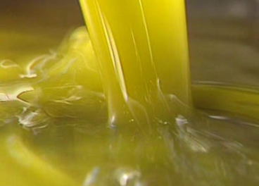 Más evidencias saludables del Aceite de oliva frente al Covid19
